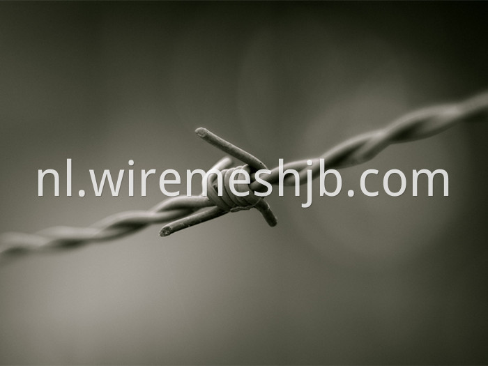 High Tensile Barb Wire